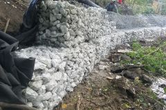 IMG_20250610_103618