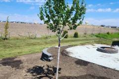 Sod-rock-trees-planting-beds-in-Waukee-Iowa-4