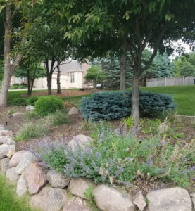 landscaping in a large yard including trees, bushes, flowers, and stones