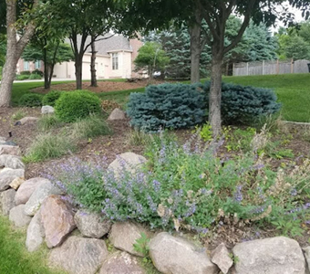 landscaping with trees, bushes, flowers, and rocks