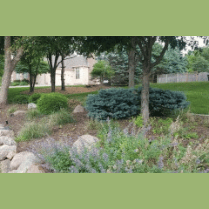Natural landscaping design featuring low-maintenance bushes, trees, decorative stones, and rich mulch.