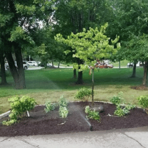 Custom concrete flatwork edging surrounding a professionally mulched garden bed to provide landscaping drainage solutions in Des Moines.